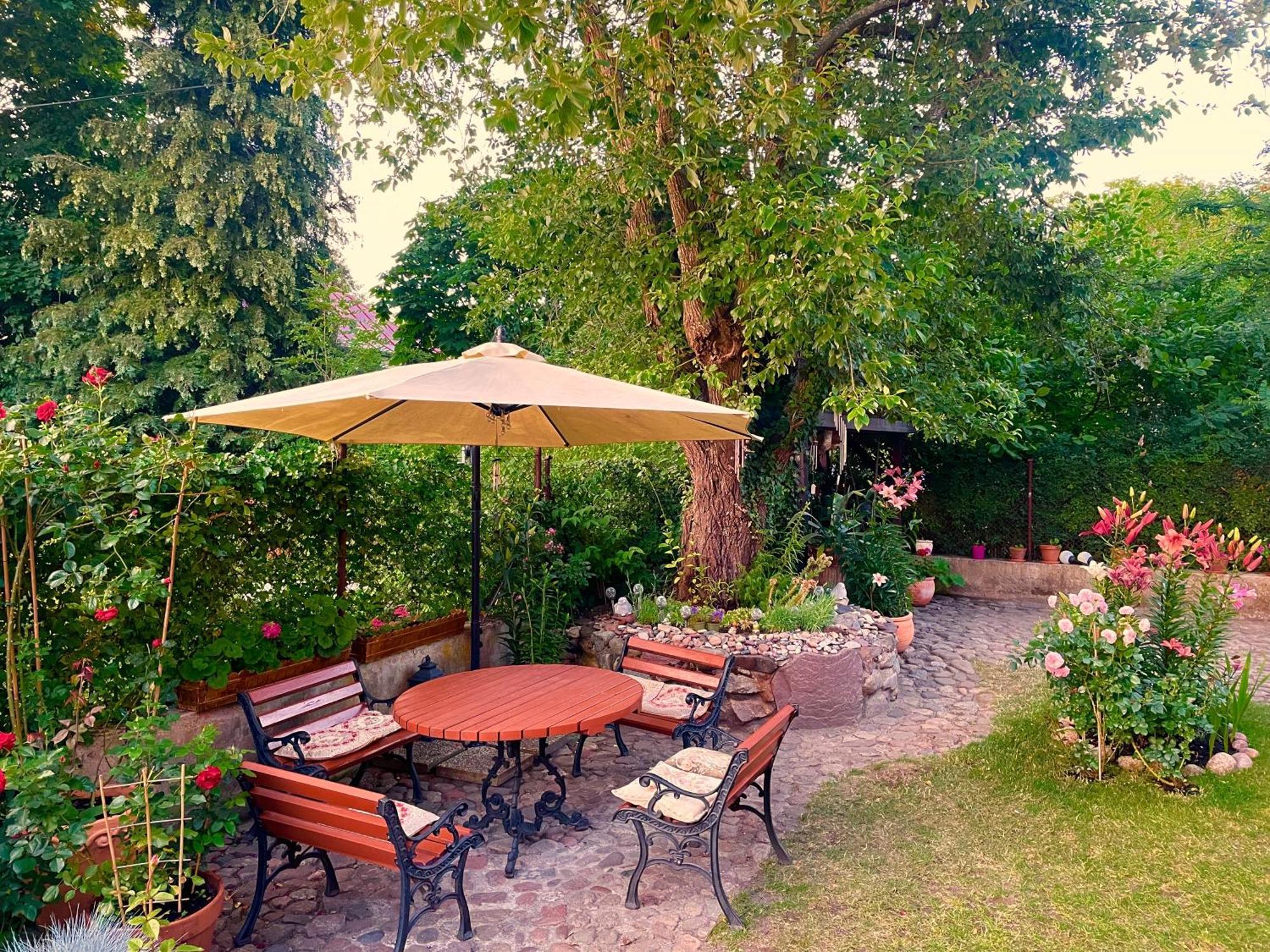 Baltic Home Dunya Mielno  Extérieur photo
