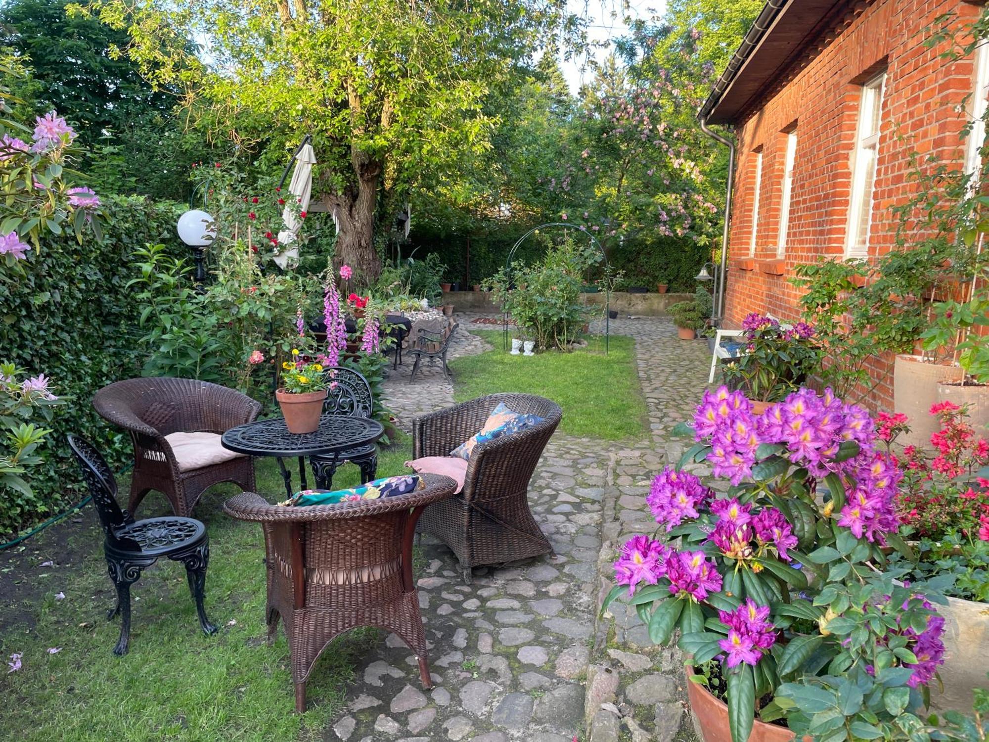 Baltic Home Dunya Mielno  Extérieur photo